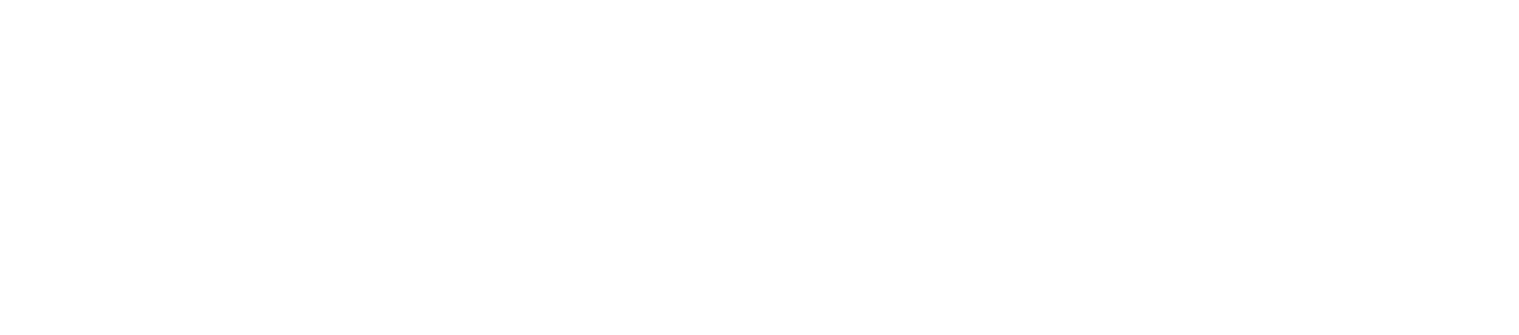 WRAPS by AppleFix